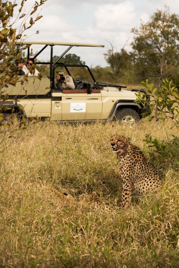 Hoyo Hoyo Safari Lodge Mluwati Concession Экстерьер фото